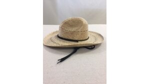 Pecos Hat