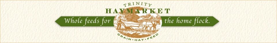 Trinity Haymarket Banner