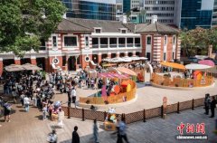 “雪特兰小马”马年亮相香港古迹大馆