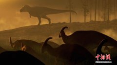 最新研究：北美发现7400万年前巨型暴龙化石 推算体重约4700公斤