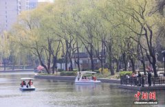 清明假期北京全市公园接待游客超594万人次